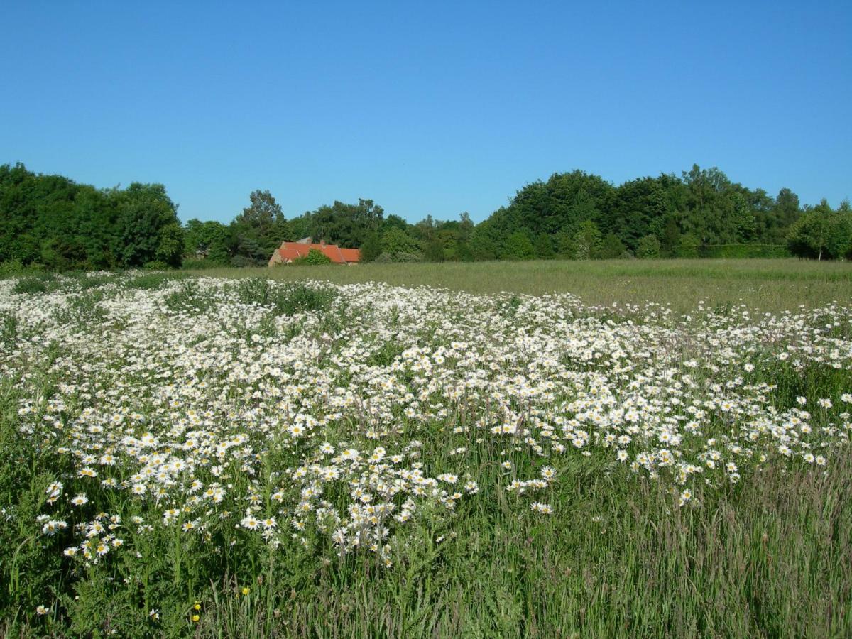 Heath Farm Holiday Cottages Swerford المظهر الخارجي الصورة